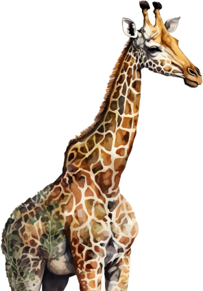 giraffe